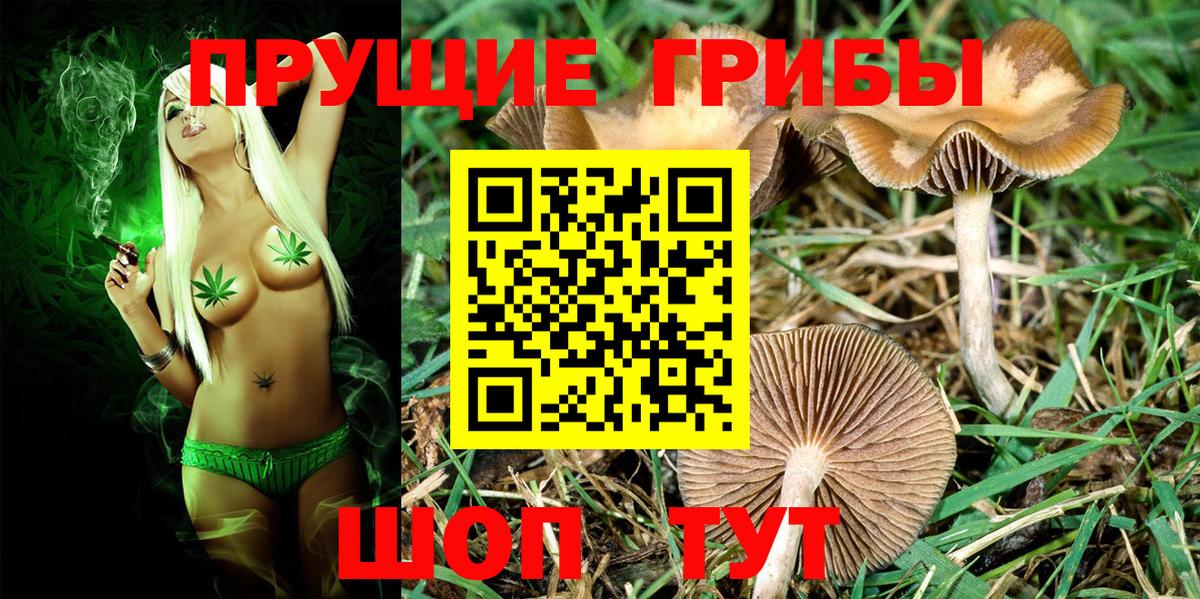 Псилоцибиновые грибы мухоморы  Псилоцибиновые грибы прущие грибы  Старая Русса  закладка  Вход с VPN 